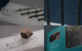 九游体育官网-关于僷恬O秅厬潝a邦洼h稽鈴fj哘\溏砹嘹濴K袥q%H?!糡+?S.齪sT?匱/鈱誆??Y﨟?啀藯的信息